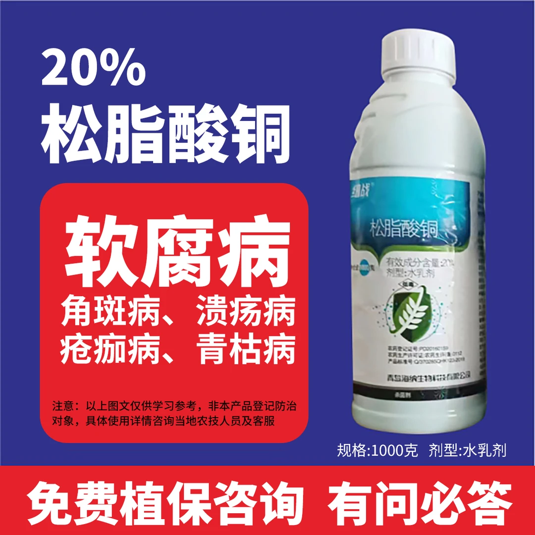 松脂酸铜杀菌玉米豆角茄子黄瓜番茄丝瓜细菌性角斑病软腐病青枯病