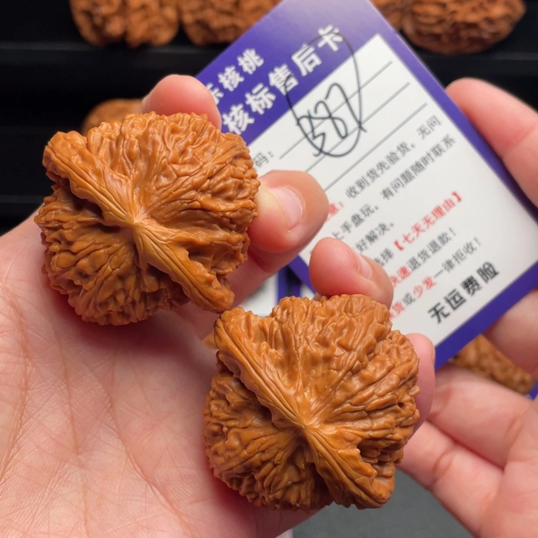 文玩核桃把件白狮45➕