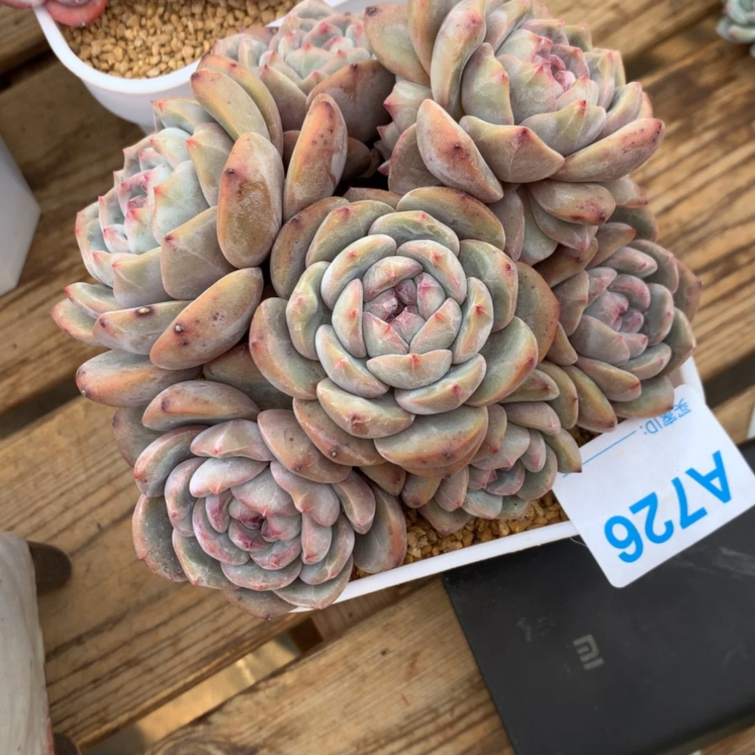 天***神A726售后范围：签收起7天内