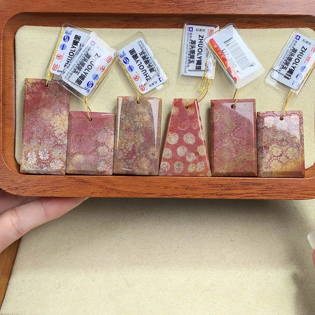 硅化珊瑚（珊瑚玉）未镶嵌吊坠(赠链)36号200一个