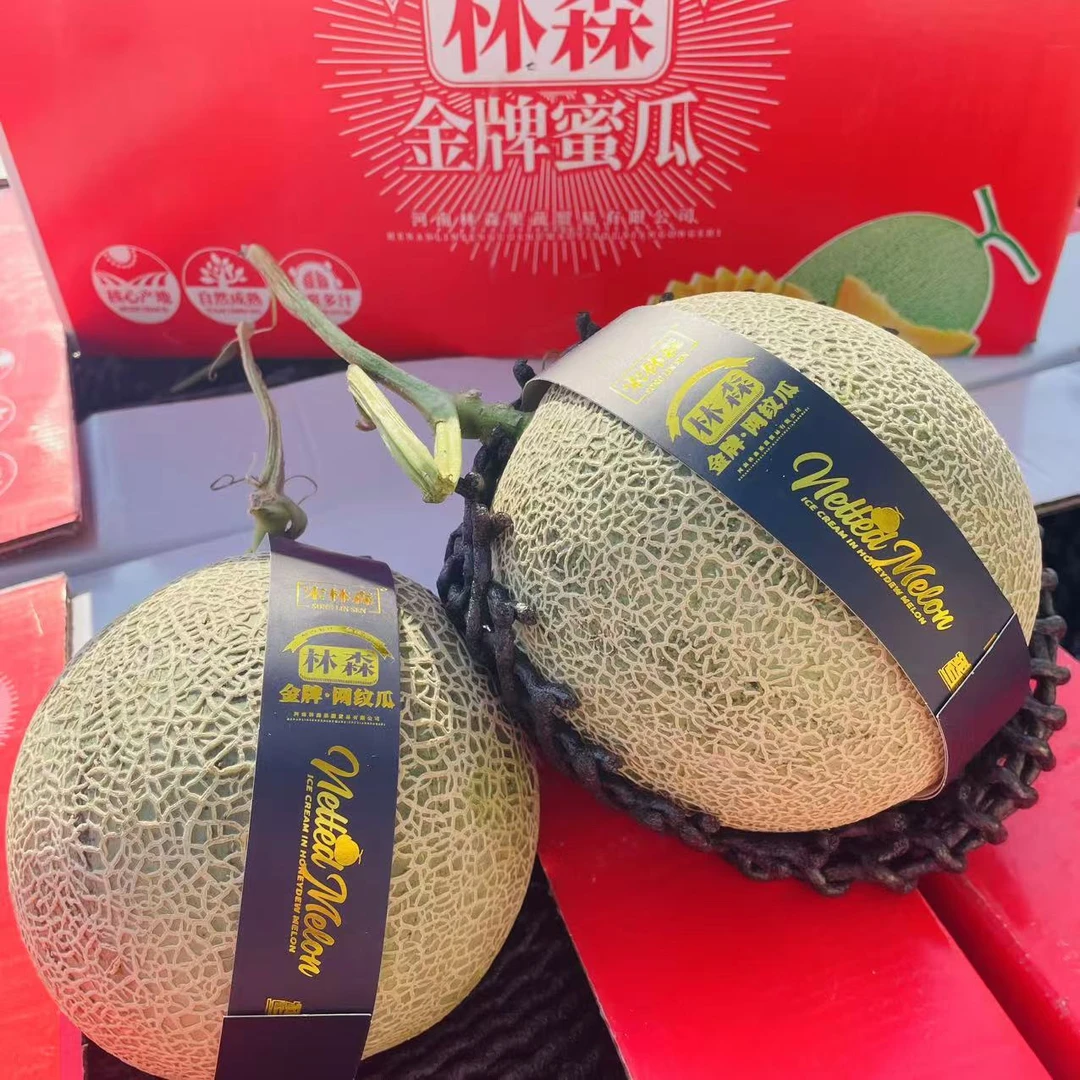 20林森 金牌网纹瓜3颗装5-6斤