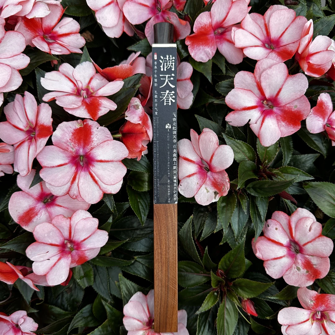 香继承福【满天春】 柬埔寨菩萨棋 蜜甜花香21cm家办公净化空气留香