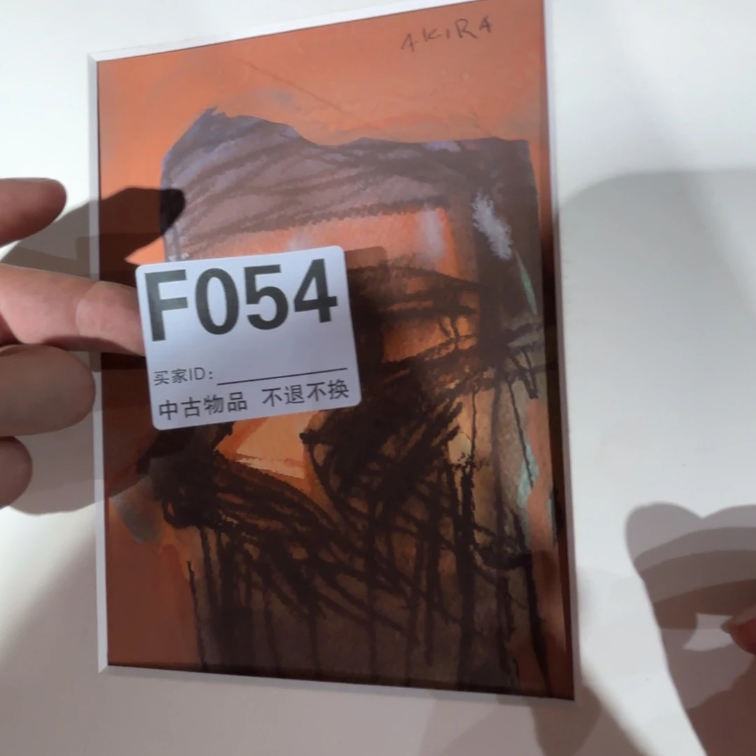 版画n***e框画工艺品手绘54