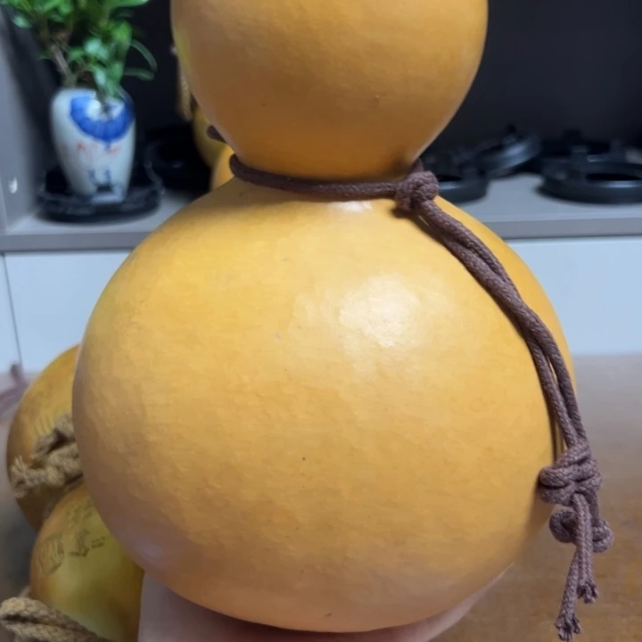 歌****哦哦邮政邮政我邮政邮政呀