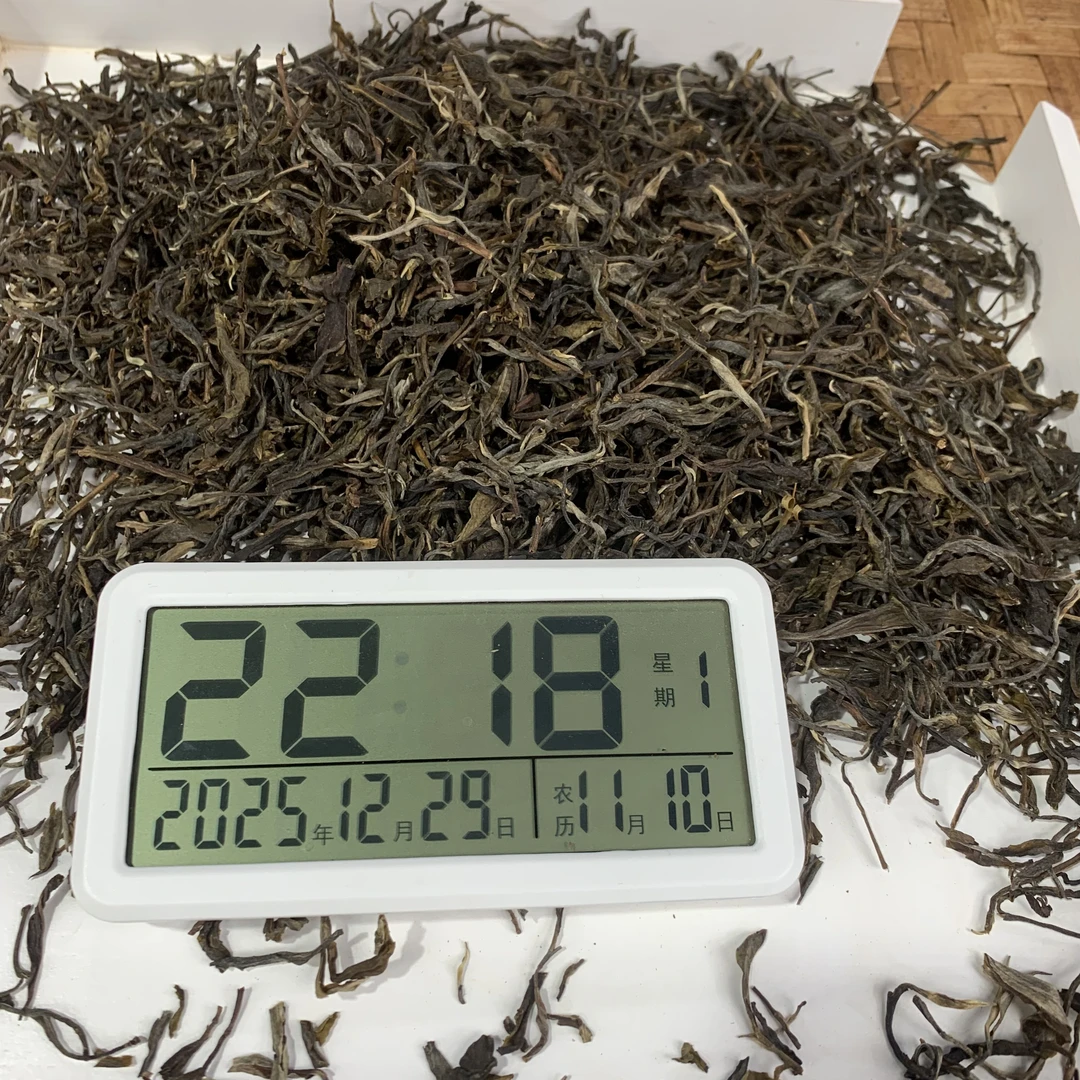 2023年 【果敢】大水塘 散茶 生茶【58】12-29