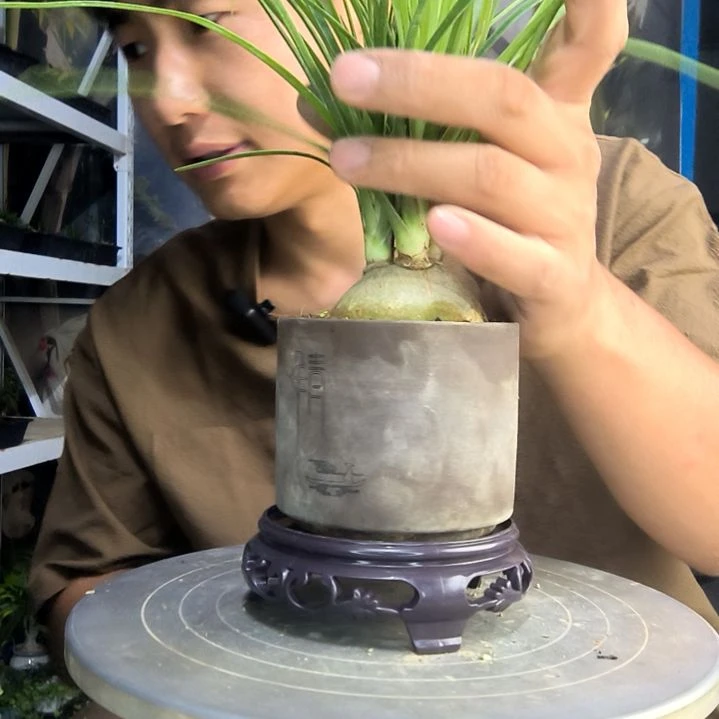 蛋**白中青园艺一物一拍164