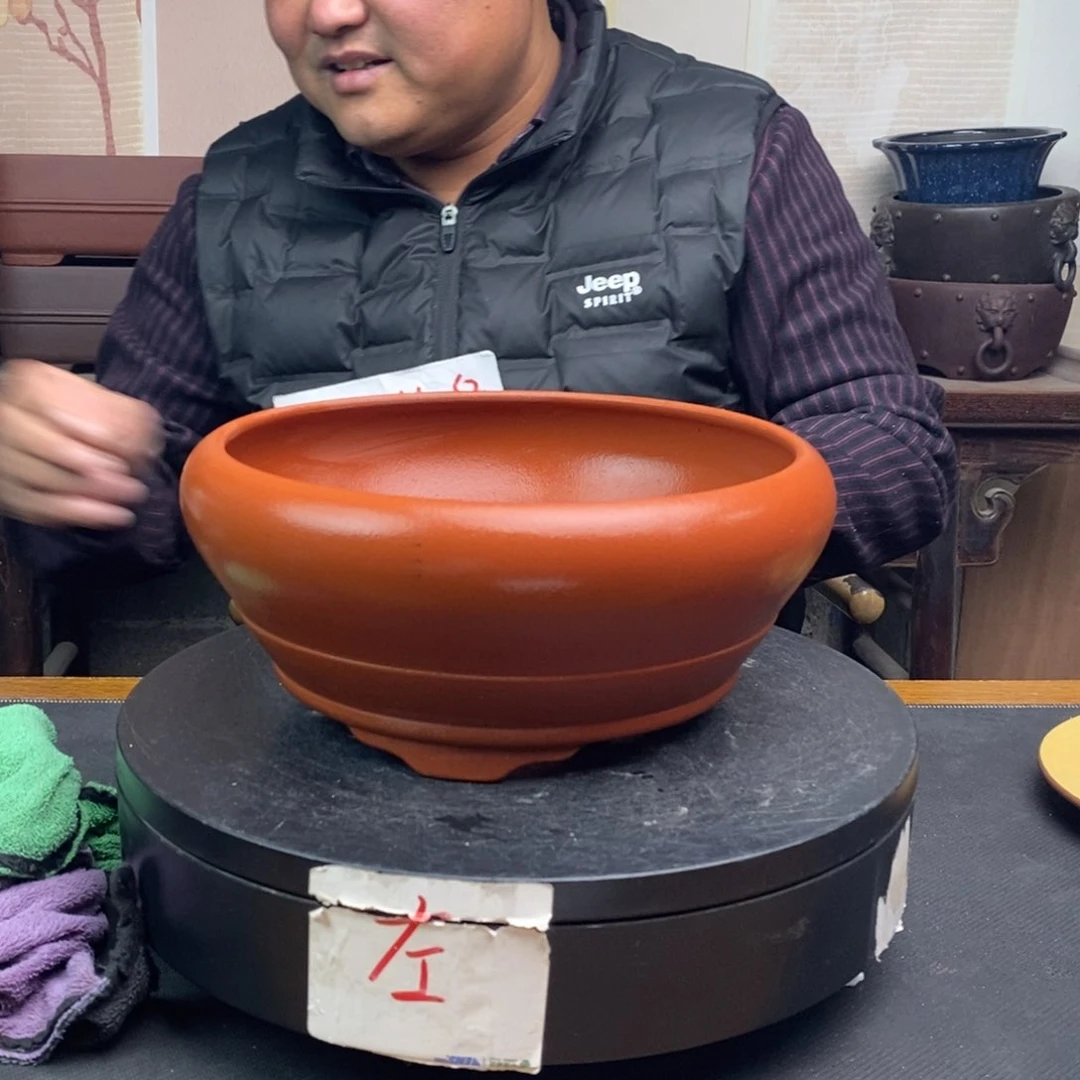 紫砂货号一只WK50