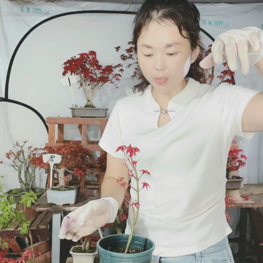 【闪购商品】完全开放孤**芳