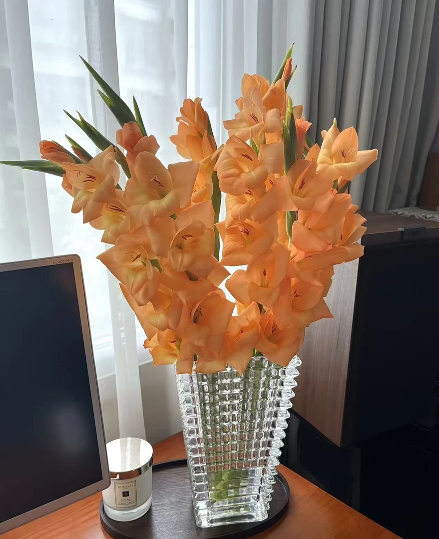 【花起点】大橘大利--剑兰【实物以直播间为准】