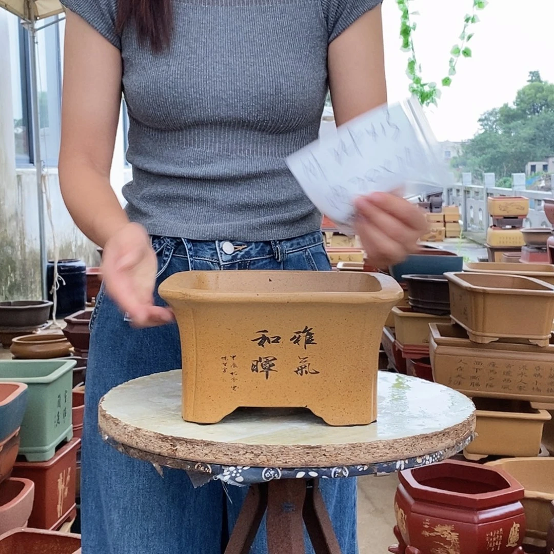 紫砂花盆紫砂花盆