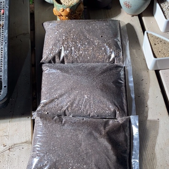 肉锥土三袋一组包邮