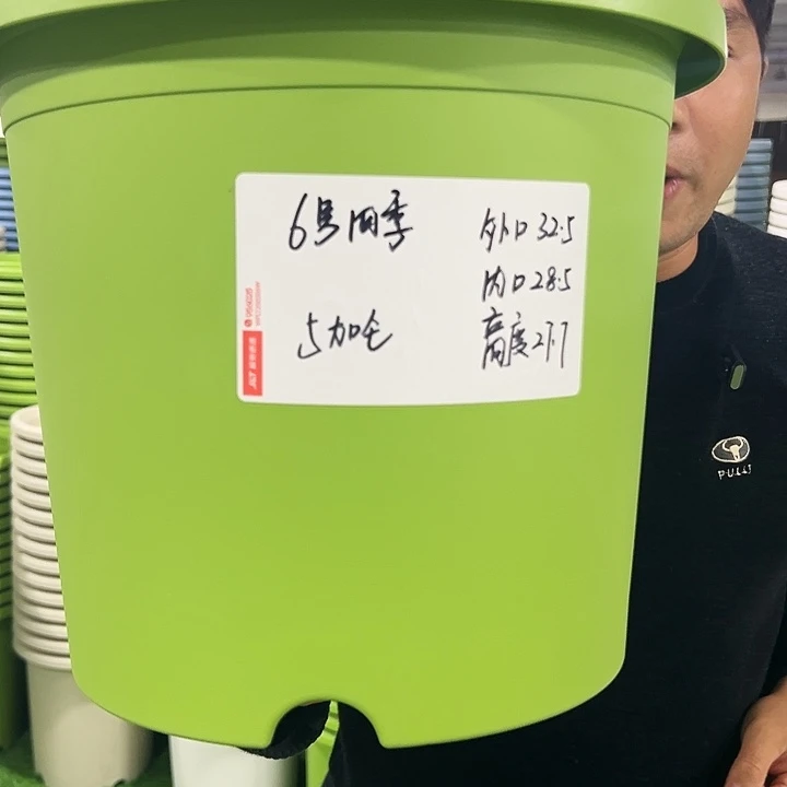 特价6号四季口32高28白色7个无托