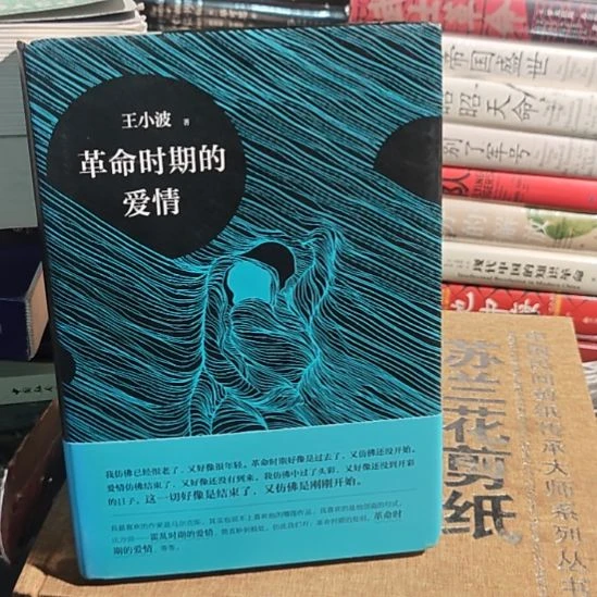 革命时期的爱情瑕疵品。