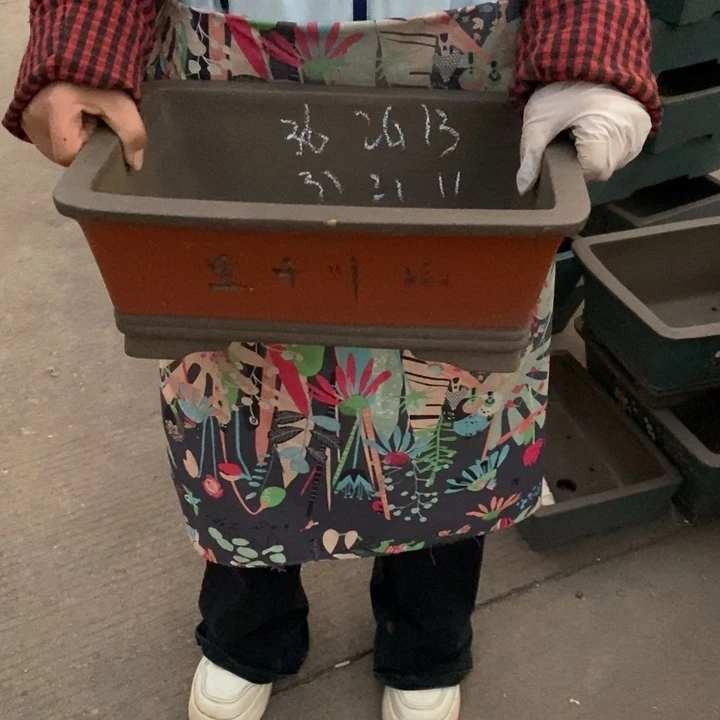 花盆紫砂只顾看手机