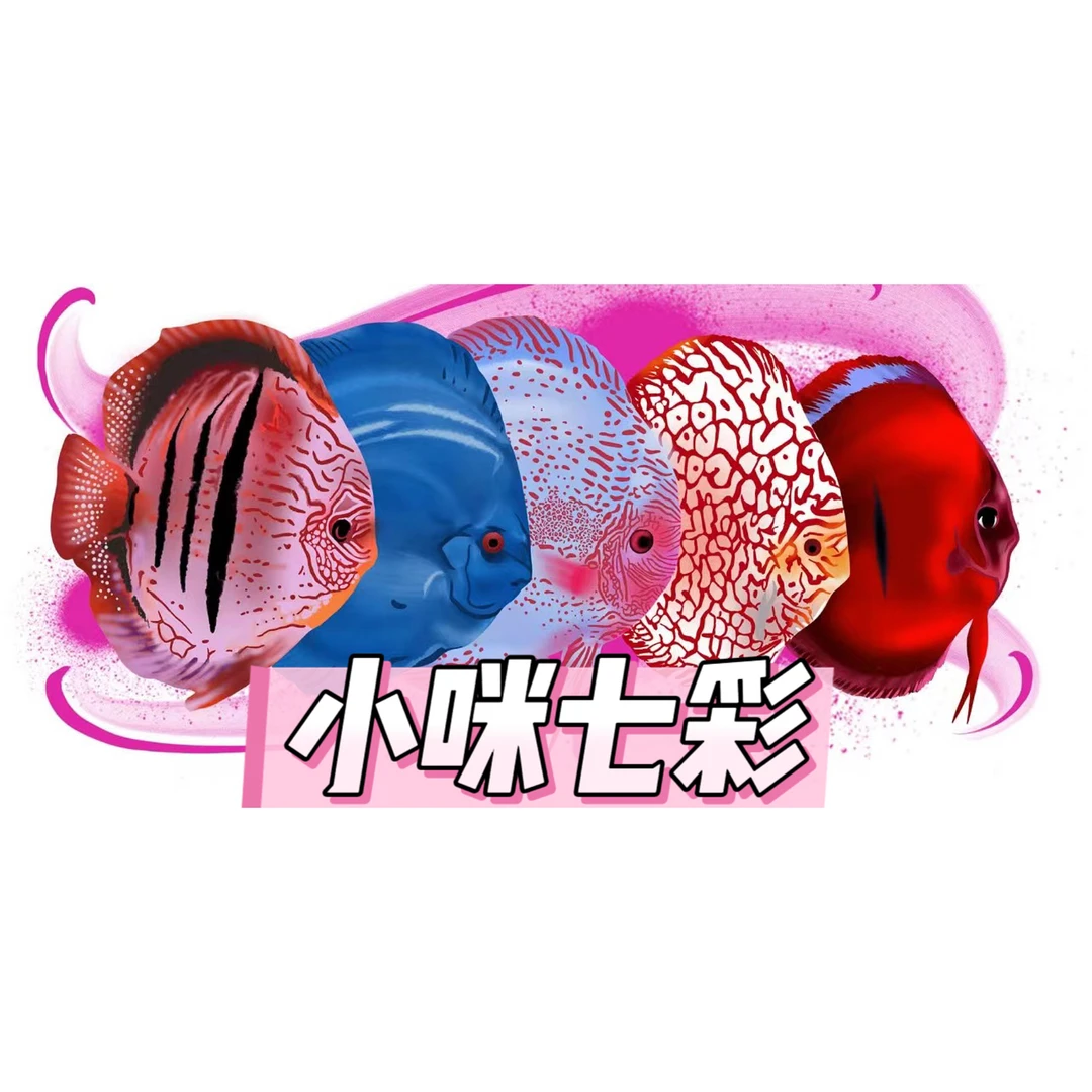 各流域野彩F1/雅梦达/特龙贝塔/伊纳姆随机5条99链接全长4-5cm