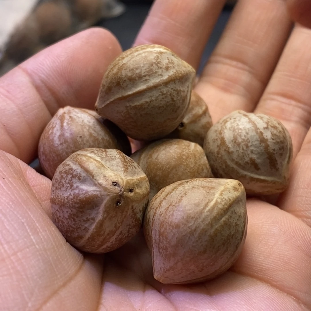 妖***狐手串/手链橄榄核1