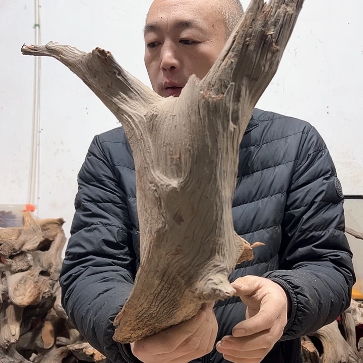 柏木呦****。我们的生活也是如此