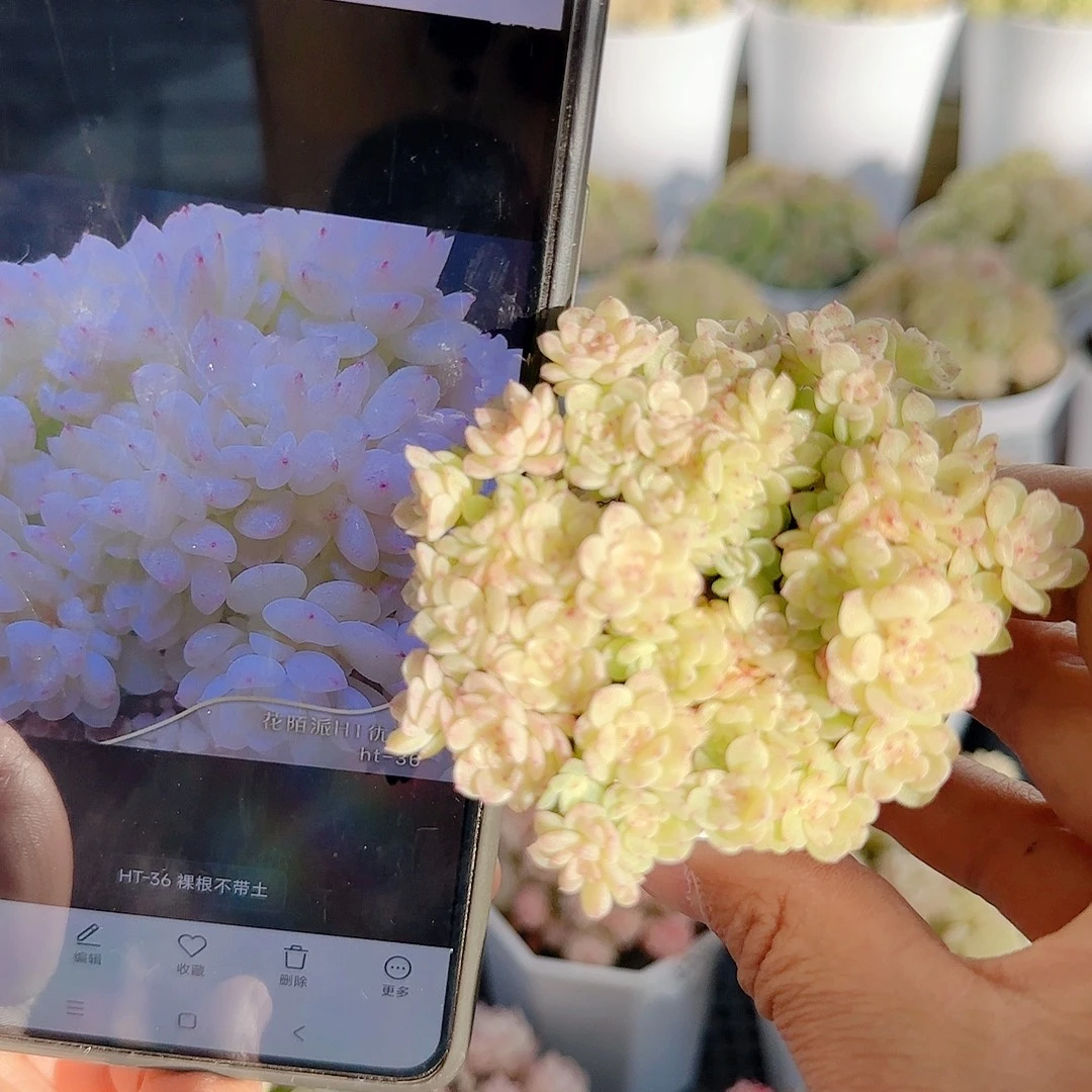 1125-152（ht-36）优选