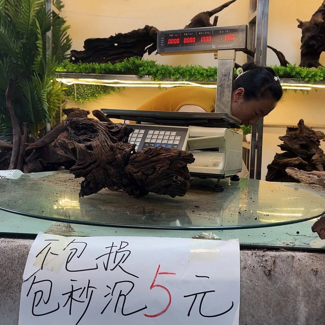 柚木板*皮沉木鱼缸造景