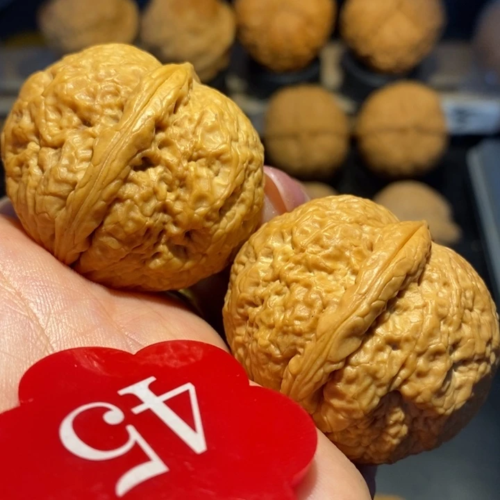 核桃粗筋我龙金蟾尺寸39