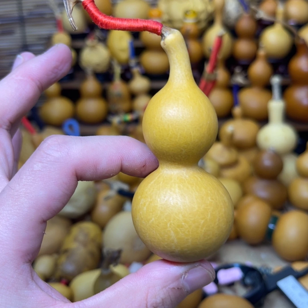 天津嘴厚皮响籽甩肚32