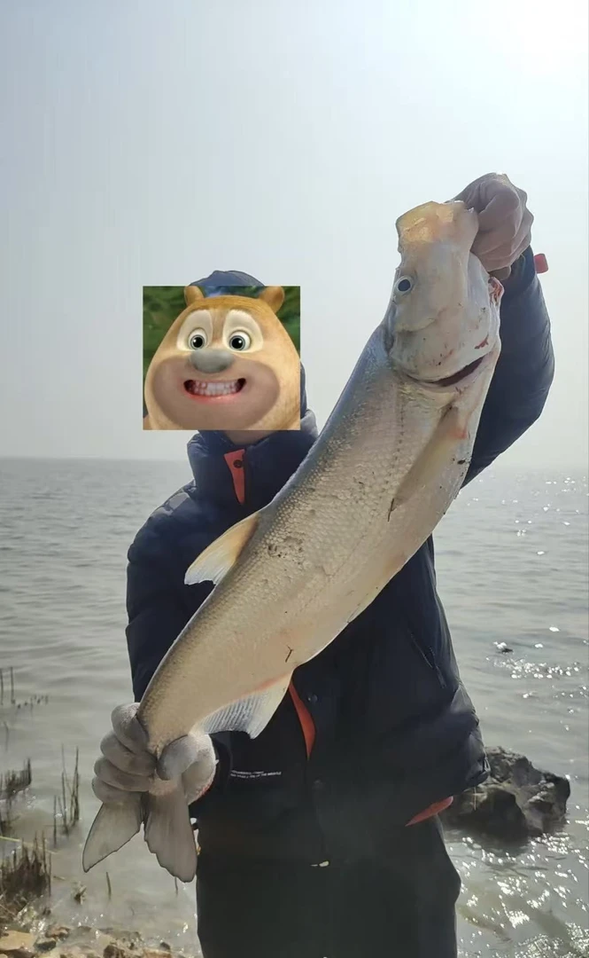 【单条净重：4斤-3.5斤】深山水库大翘嘴 山泉水冷水鱼活鱼现杀净膛