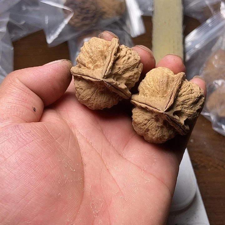 把件文玩核桃云南铁核桃炸福利直播间83号