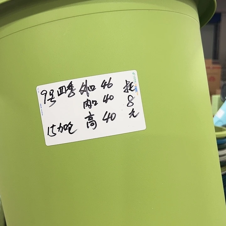 四季9号特价白色4个无托
