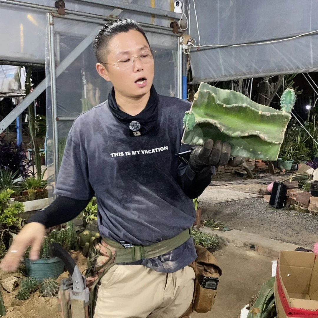 母头一号一物一拍