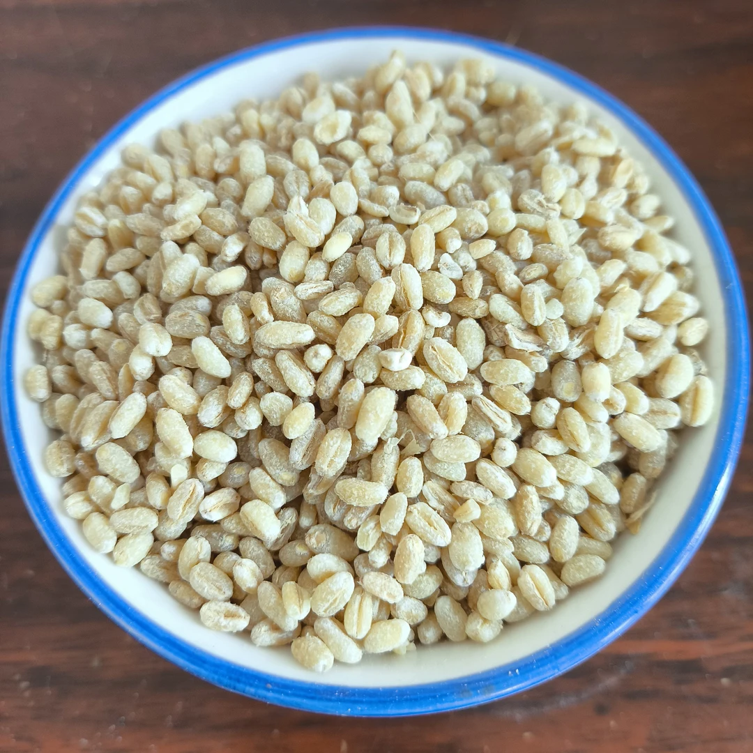 河南脱皮小麦仁去皮小麦粒新鲜麦仁米可煮粥