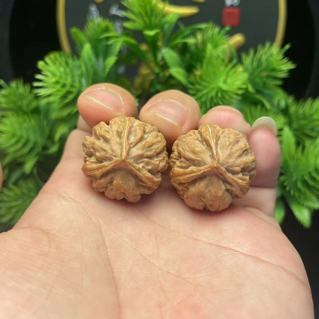 文玩核桃手捻小核桃三棱楸子收藏佳品蛤蟆头元宝纹盘玩非一物一图
