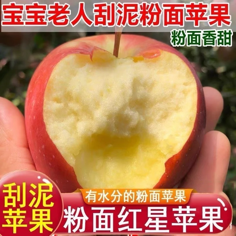 山西红星苹果可脆可粉高山种植苹果可刮泥宝宝辅食