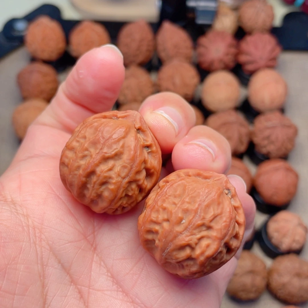 【闪购商品】把件文玩核桃小胖福