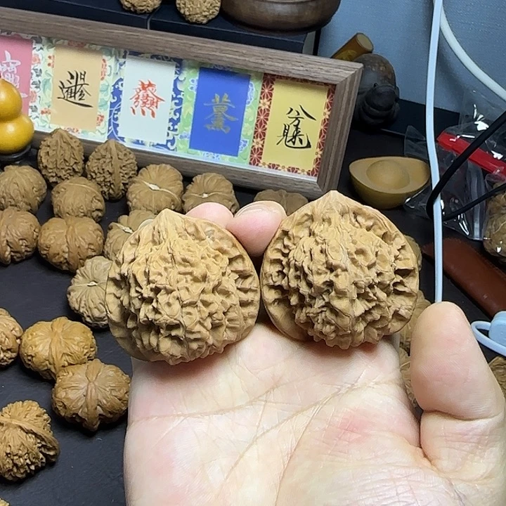 核桃福利47官帽磕尖，不退换练手对