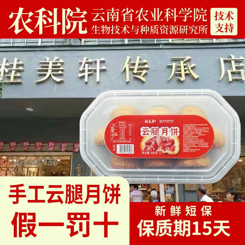 桂美轩[饭盒月饼]50g*10枚云腿短保15天手工现烤滇式下午茶500g