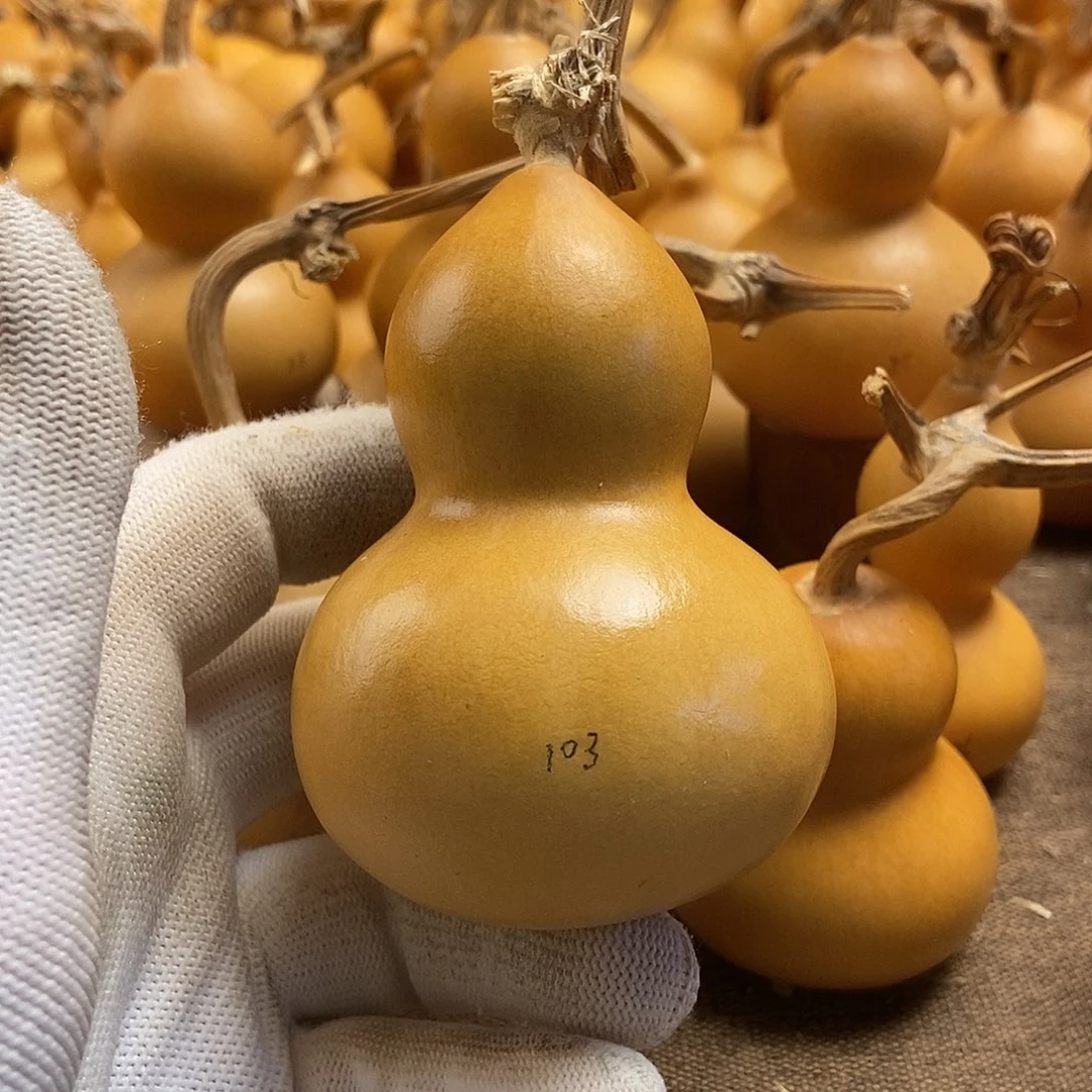 文玩葫芦 完美主义者 慎拍103