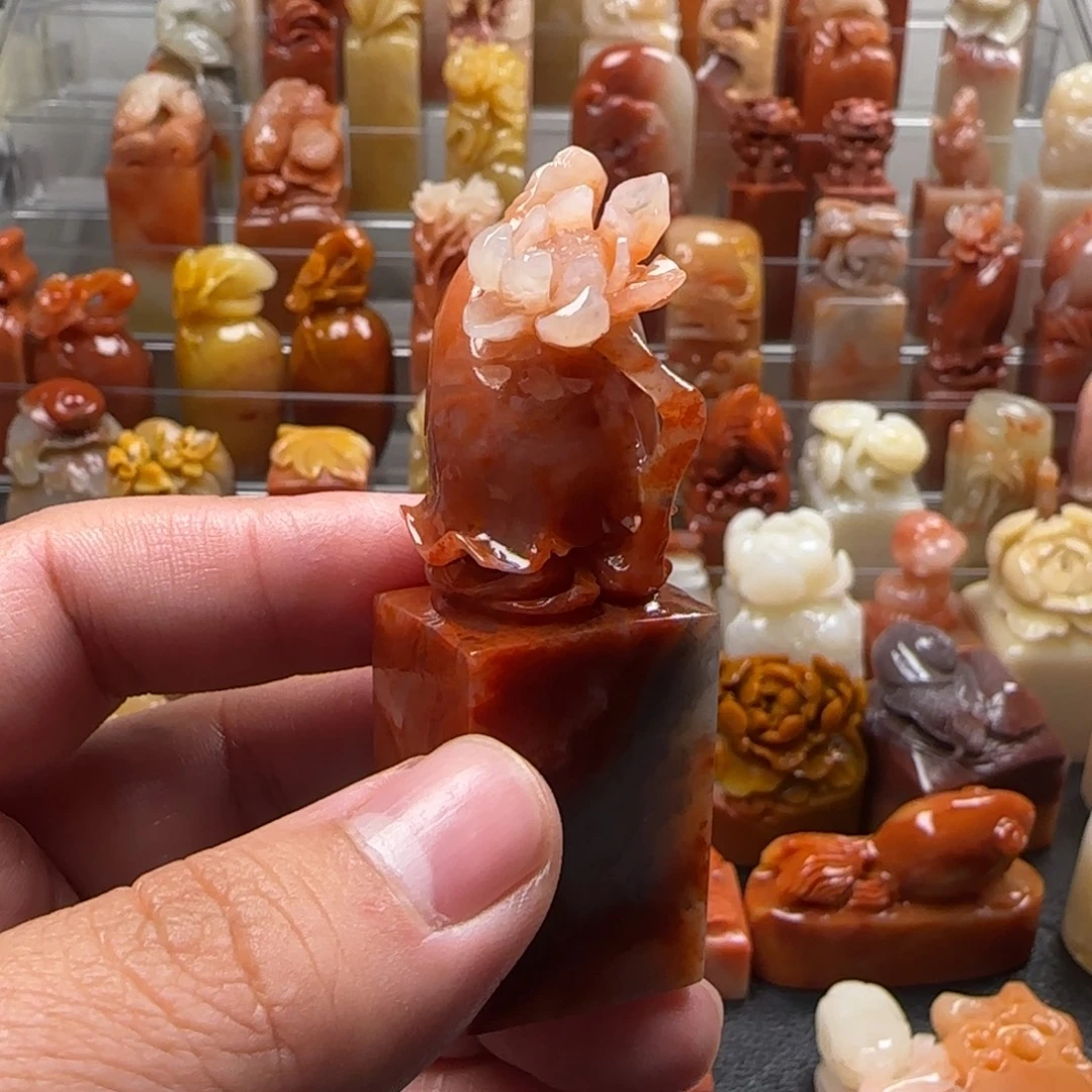 老挝石荷花 2.3×7.1