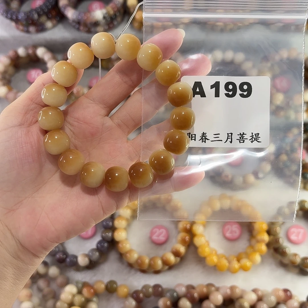 吊坠菩提根/象牙果