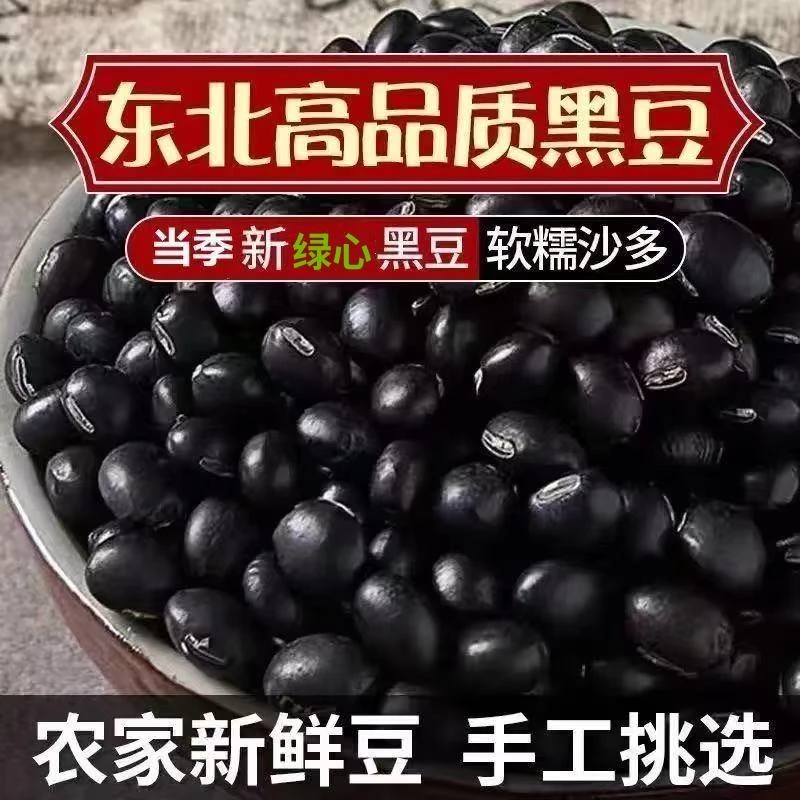 东北黑豆农家绿心青仁黑豆五谷杂粮发芽黑豆打豆浆绿芯黑豆
