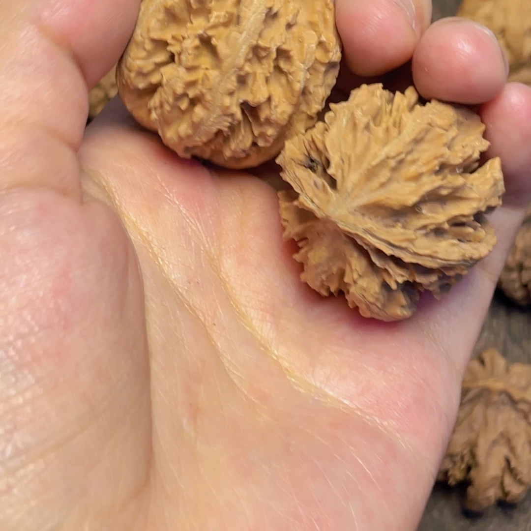 桃核把件5 秦岭灯笼野生小众