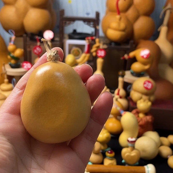 K***X葫芦丝老师在讲道理吗