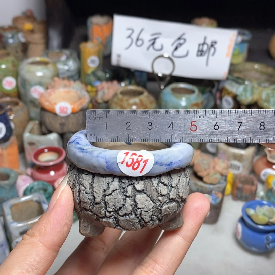 拍3送一个小礼物