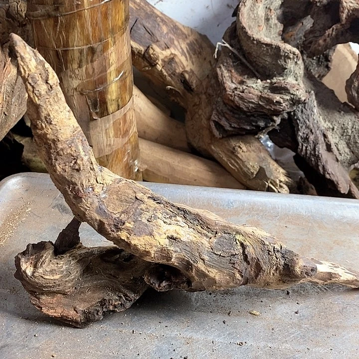 黄花梨/降香黄檀麦*哥