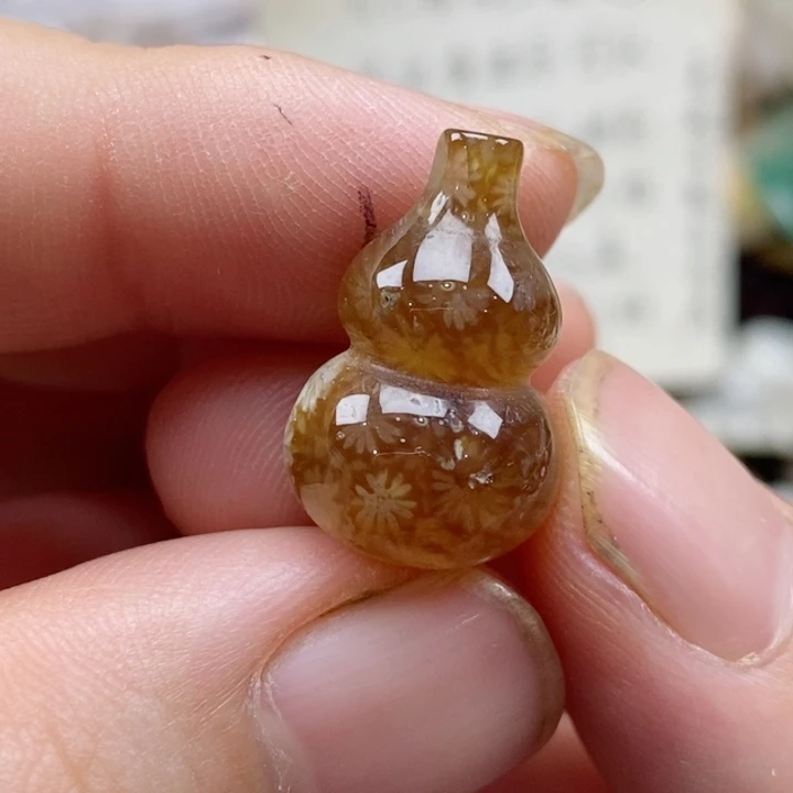 硅化珊瑚（珊瑚玉）未镶嵌颈饰小