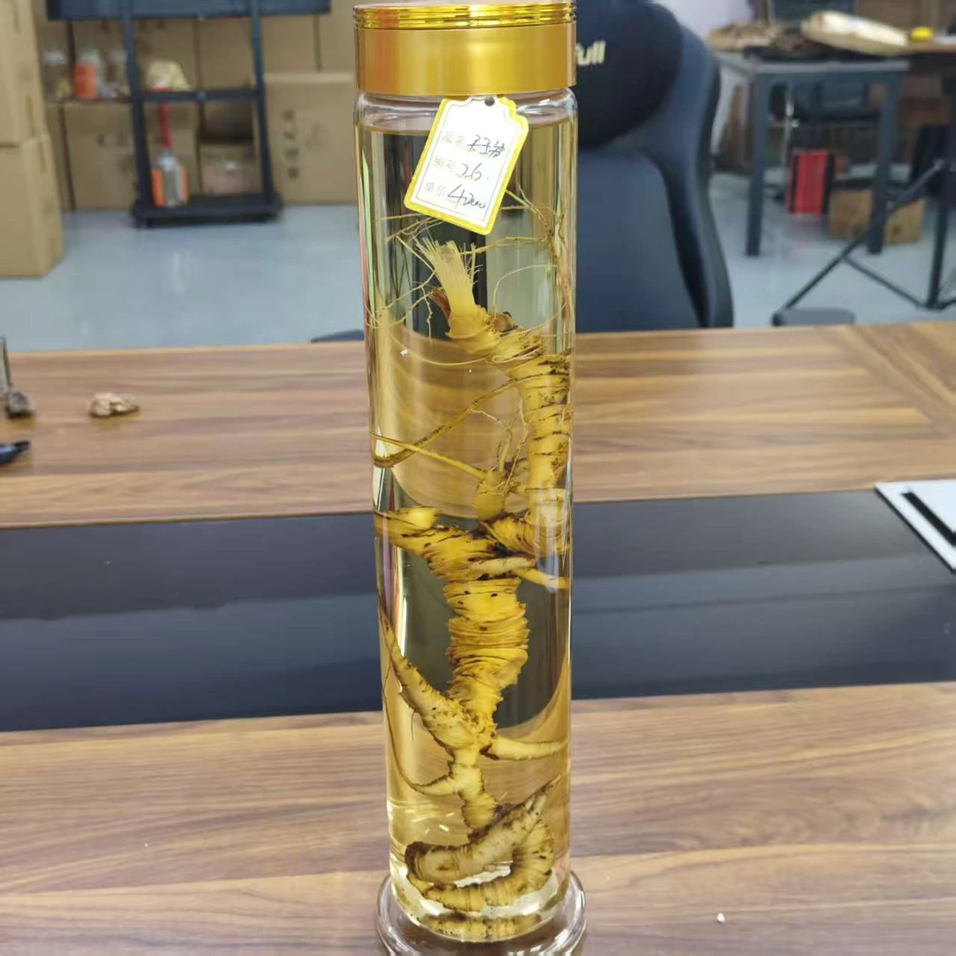 26号高年份天王参【袁瑞泽推荐】