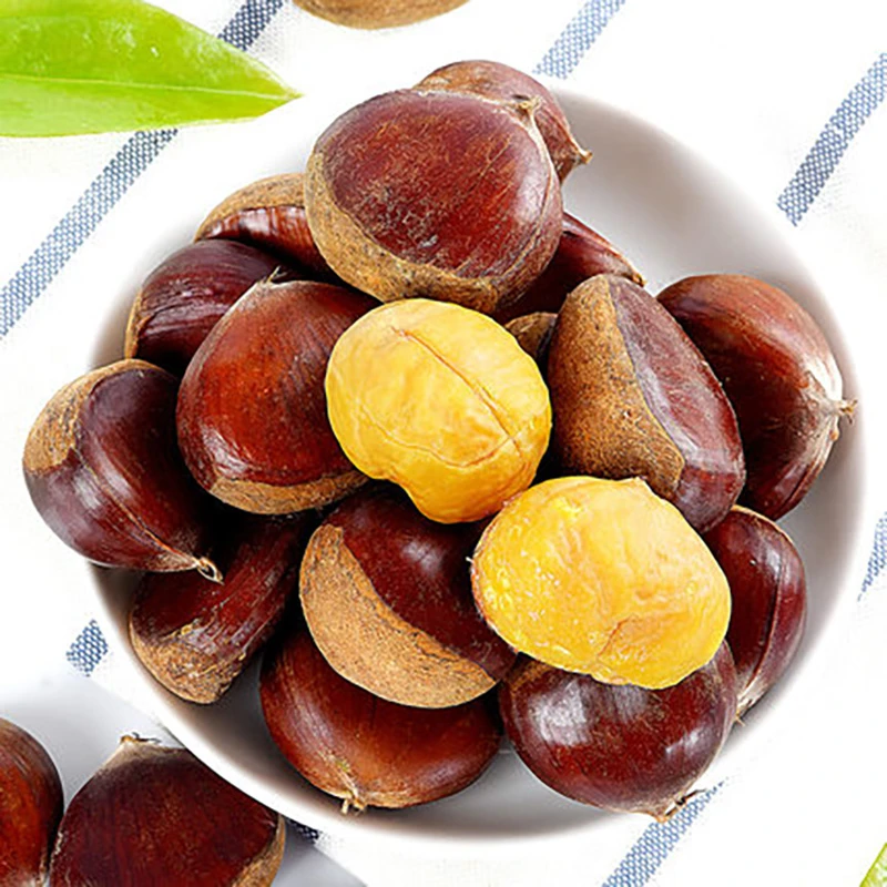 【坏果包赔】秦岭板栗新鲜栗子生板栗现发野红皮油栗子秋季鲜板粟