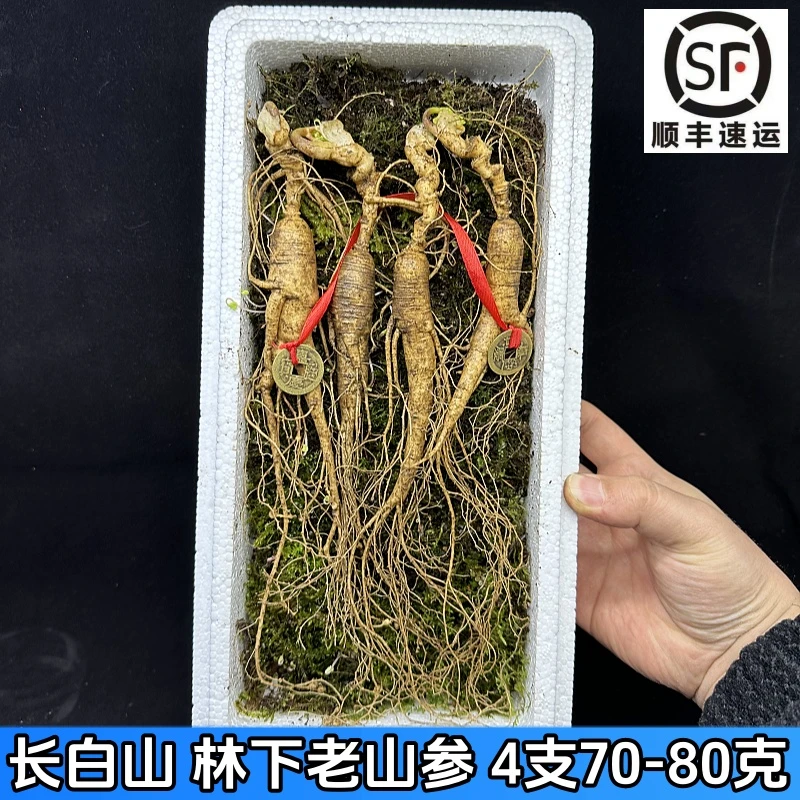 人参长白山-山参原产地精选东北十多年播籽林下参食用新鲜人参