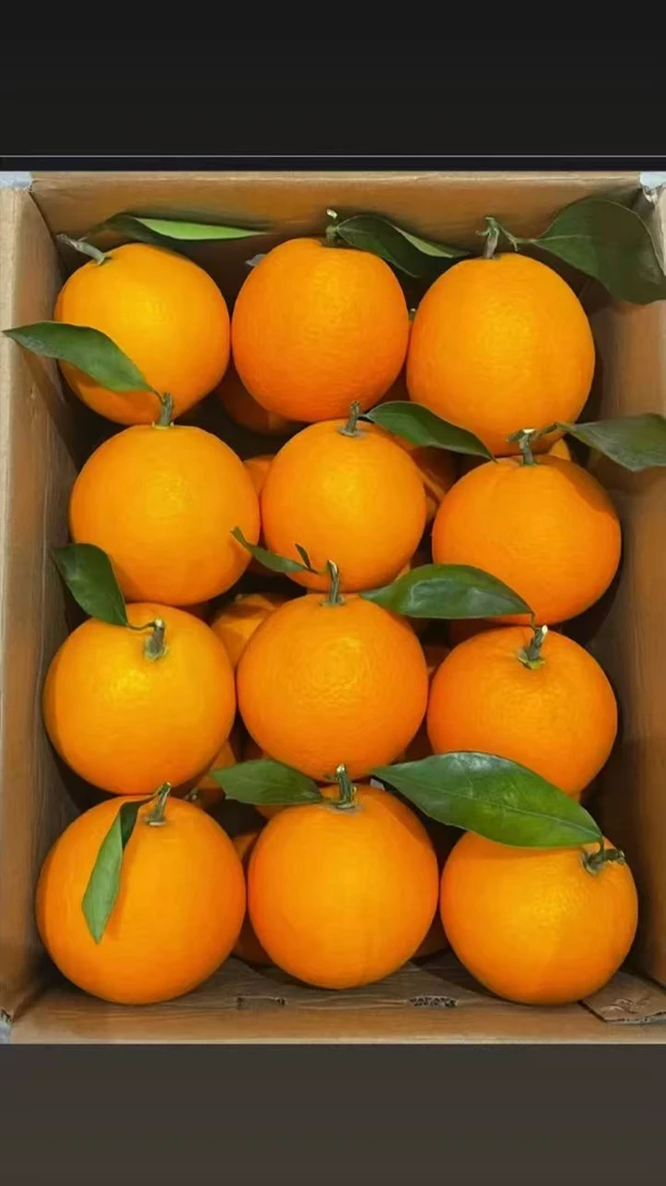 【11.11活动】正宗老树纽荷尔脐橙现摘新鲜水果皮薄多汁甜而不腻