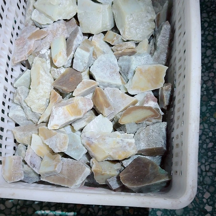 咬***蛇和田玉（糖玉）未镶嵌珠宝奇石
