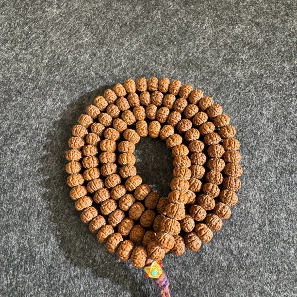 勿里达老树王108金刚菩提